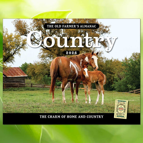 The cover image for the Old Farmer's Almanac Country Calendar 2026 featuring a photo of a Mare and her Foal in a sunny green pasture