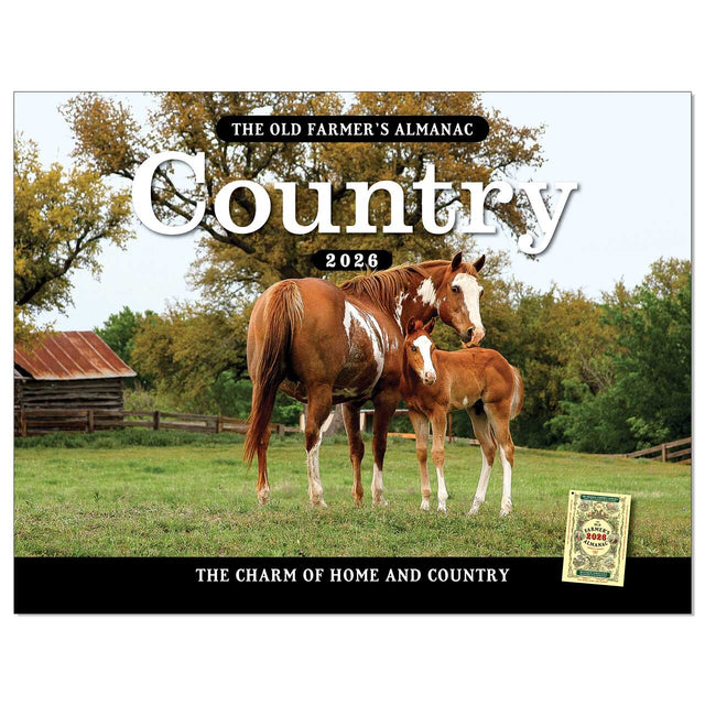 The cover image for the Old Farmer's Almanac Country Calendar 2026 featuring a photo of a Mare and her Foal in a sunny green pasture