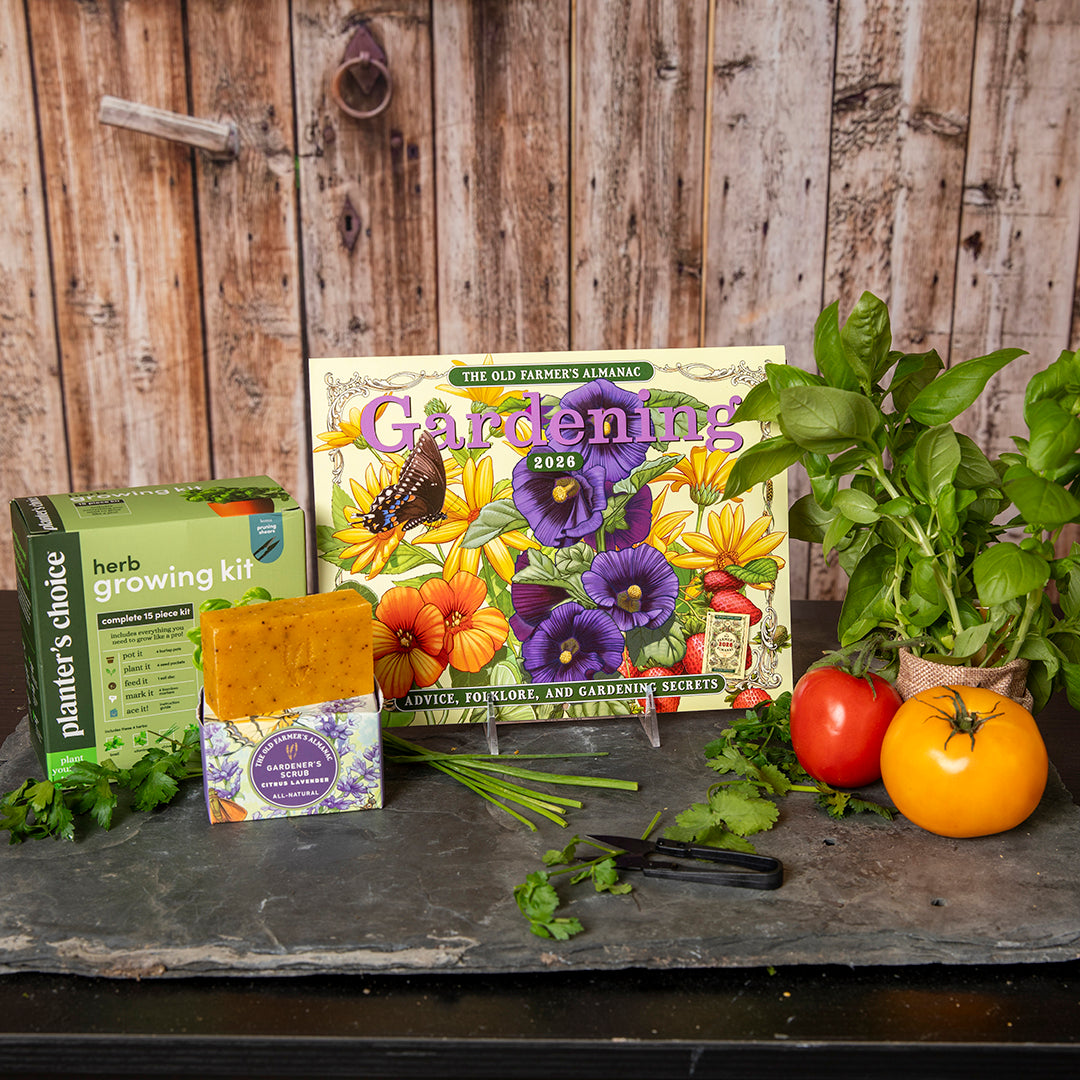 Gift Guide: The Master Gardener