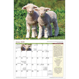 the interior page of the 2026 Country calendar open to the April page featuring a photo of two spring lambs