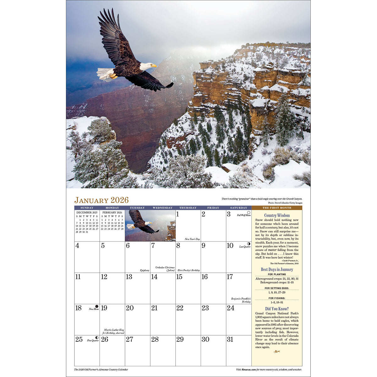 the interior page of the 2026 Country calendar open to the January page featuring a photo of an American Bald Eagle in flight over a snowy canyon