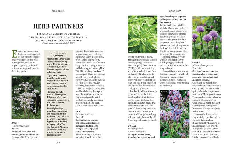 Vegetable Gardener’s Handbook