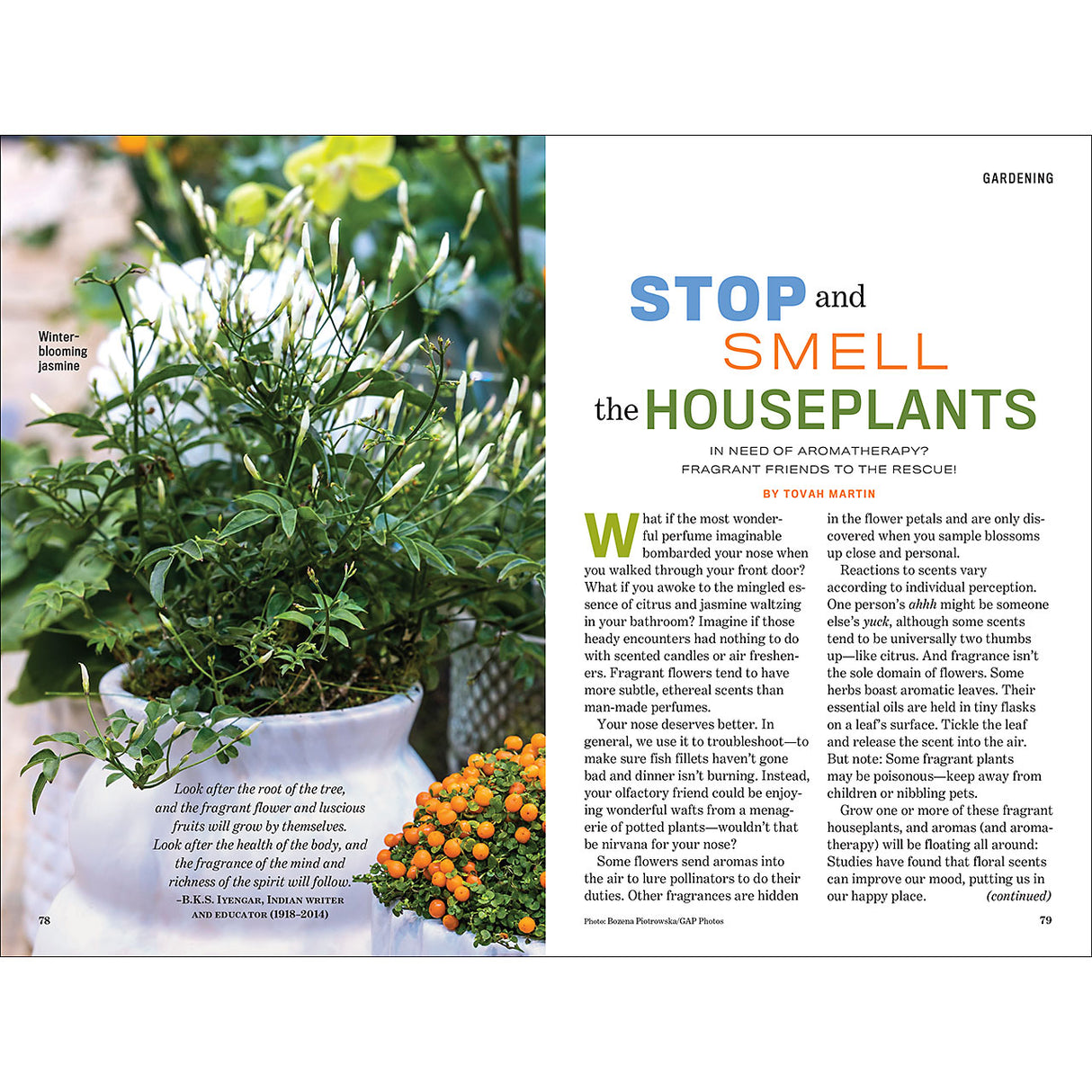 Online  Canadian Edition - 2026  - The Old Farmer's Almanac