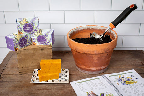 Gardener's Scrub - 2 Bar Gift Box