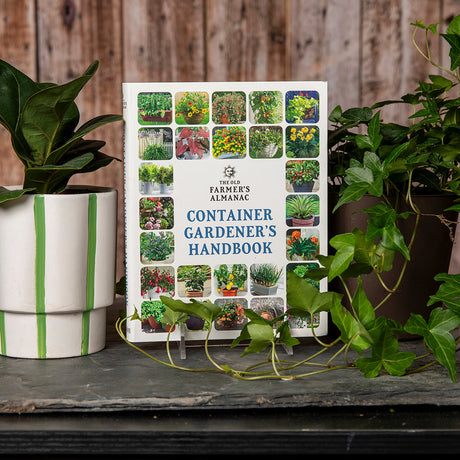 Gift Guide: The Plant Parent