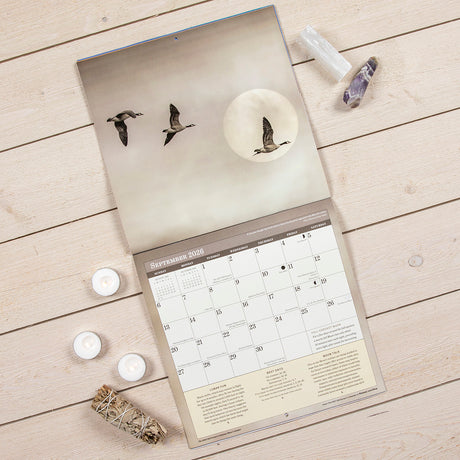 The Stargazer Bundle