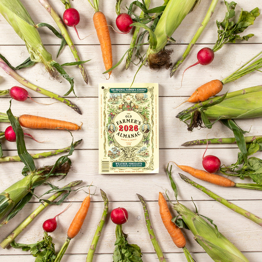 The 2026 Old Farmer's Almanac - Classic Paperback