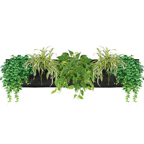the 3 pocket wall planter filled with plants that have grown to drape over the front of the pocket against a white background