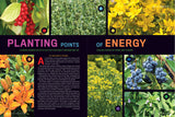 a spread on chakra gardens titled "Planting Points of Energy"