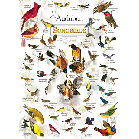 Audubon - Songbirds 1000pc Puzzle