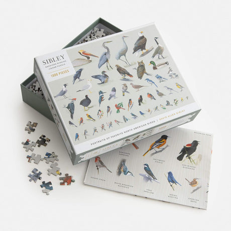 Bird-themed puzzle set with pieces and packaging on a white background