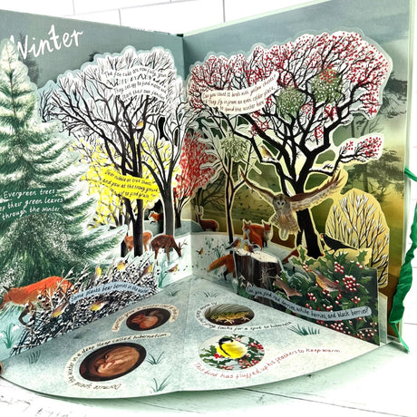 A Year in Nature: A Carousel Book of the Seasons