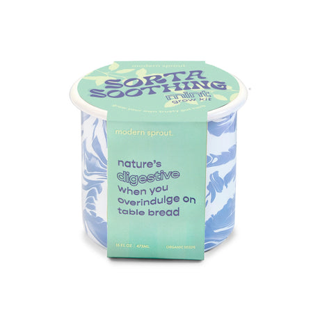 The sorta soothing mint altered herbs mug in its package - a blue and white marbled enamel mug with a mint green package that reads "nature's digestive when you overindulge on table bread"