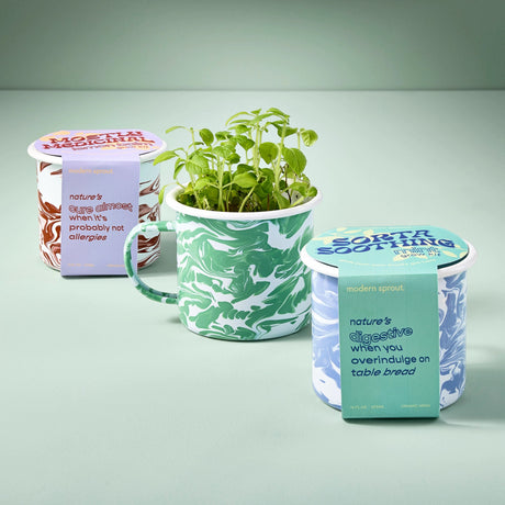a trio of the altered herbs grow mugs; two of them in their packaging, one of them with herbs growing out of it