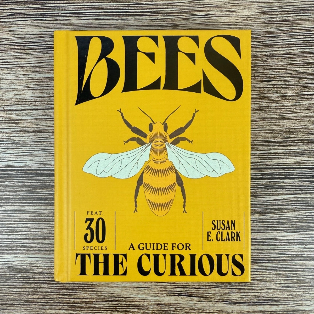 Bees: A Guide for the Curious