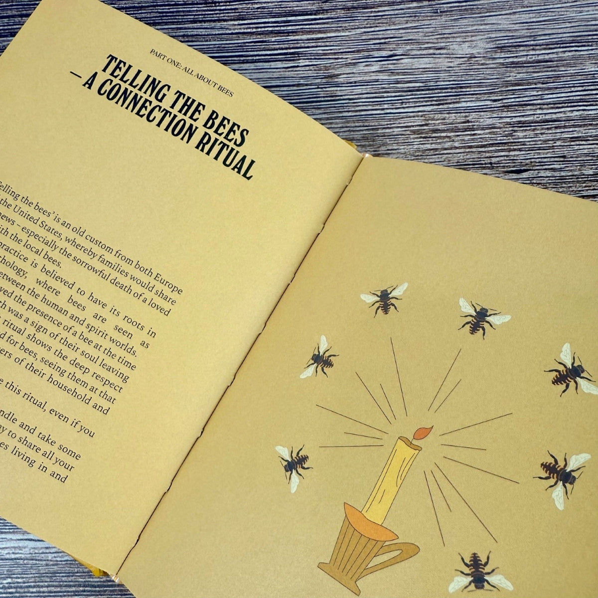 Bees: A Guide for the Curious