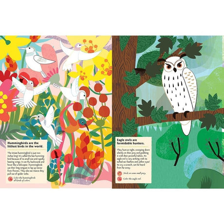 Illustrated book page with colorful birds and an owl in a forest setting