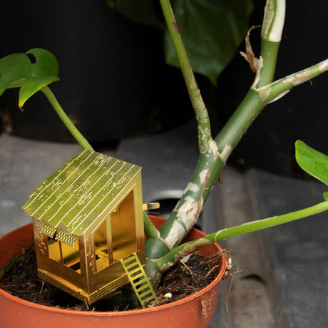 Tiny Treehouse for Your Plants