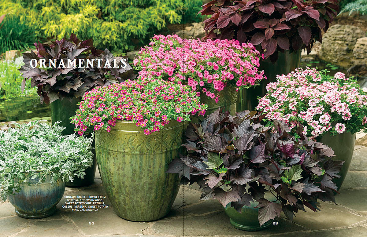 Container Gardener’s Handbook