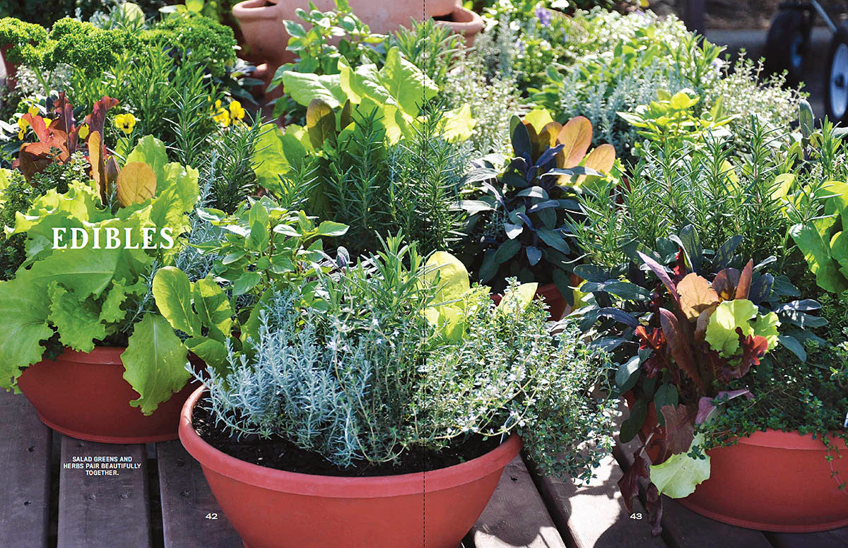 Container Gardener’s Handbook