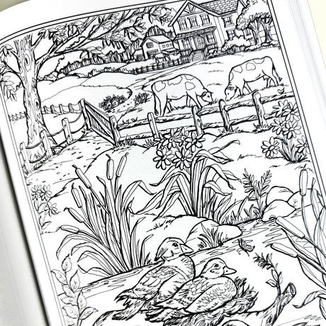 Country Farm Scenes Coloring Book