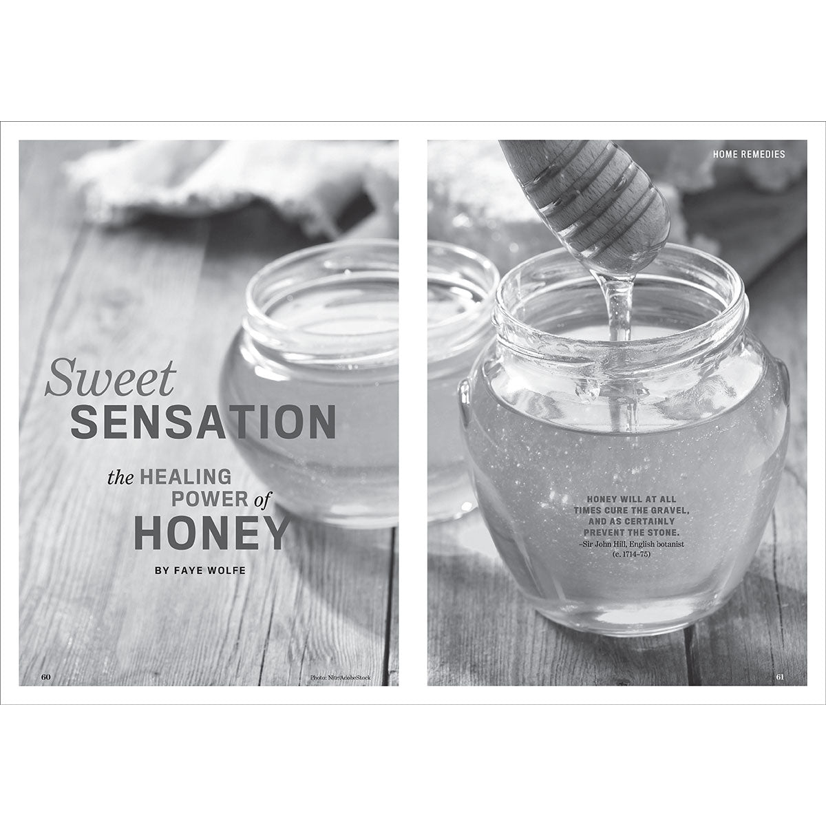 The 2026 Old Farmer's Almanac - Easy-to-Read Oversized Softcover