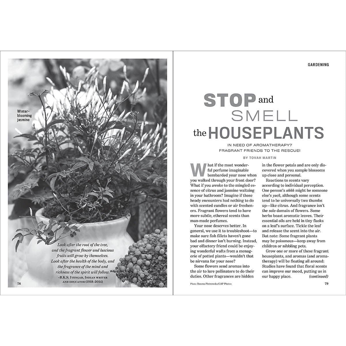 The 2026 Old Farmer's Almanac - Easy-to-Read Oversized Softcover