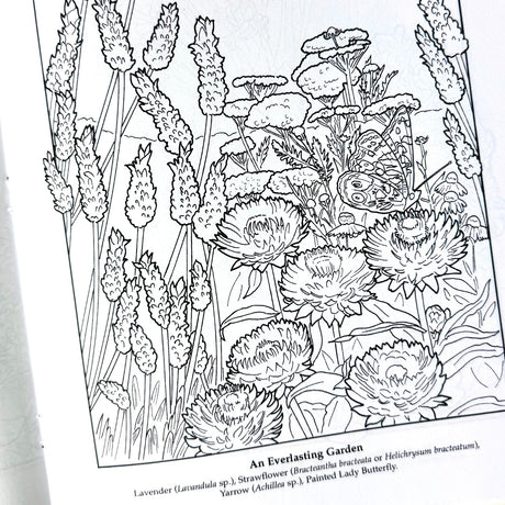 The Flower Garden Coloring Book