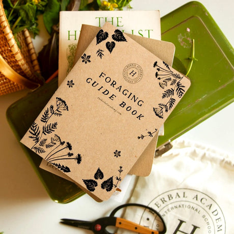 the foraging guide book with kraft cover with black silhouettes of plants on a tabletop with other foraging supplies visible around the border including scissors, a basket, and other miscellaneous items