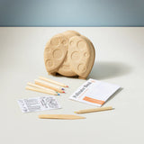 Curious Critters Garden Kit