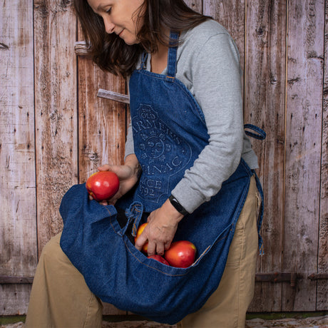 a model wearing the harvest gathering apron bent forward and looking into her apron to admire her harvest of apples