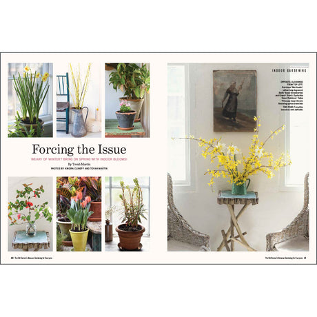 Magazine layout with indoor plants and a painting on a white background