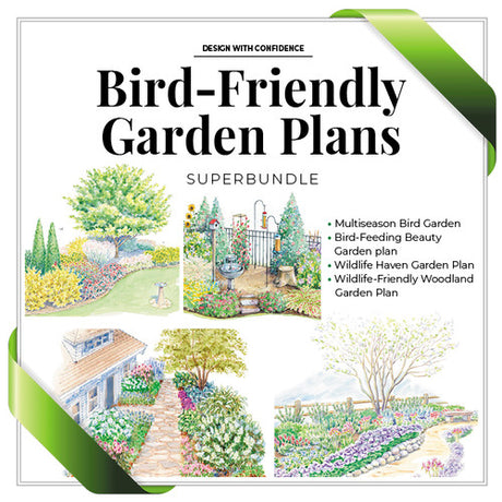 Bird-Friendly Garden Plan SuperBundle