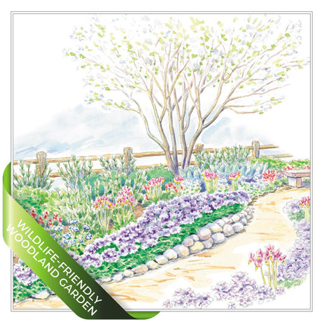 Wildlife-Friendly Woodland Garden Plan