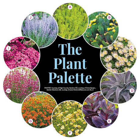 Full Sun Garden - Surround Your Sidewalk with Color Garden Plan