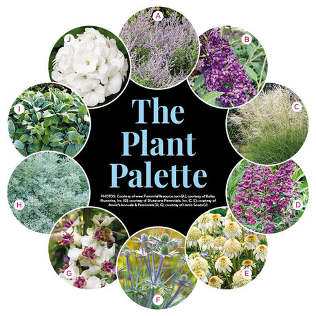 Full Sun Garden - Drought-Tolerant Border Garden Plan