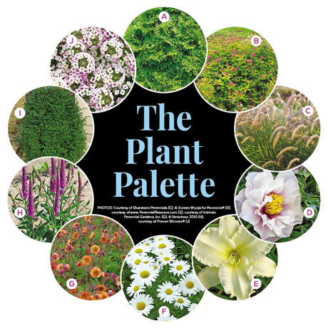 Four-Season Entry Garden Plan