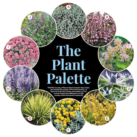 Drought-Tolerant Garden Walkway with Curb Appeal