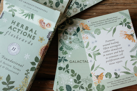 Herbal Actions Flashcards