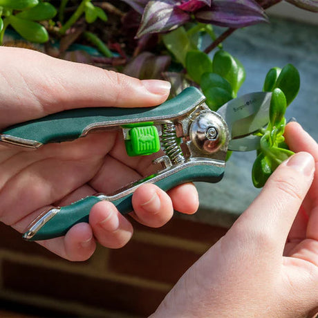 the houseplant pruner in a gardener's left hand while they hold houseplant leaves in their right hand and trim them with the pruner