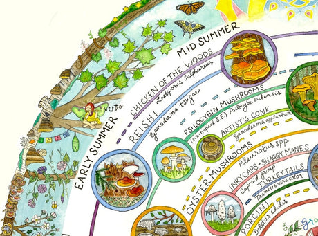 Giclée Art Print - Mushroom Foraging Calendar