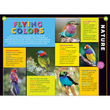 Educational page about birds with colorful illustrations and text on a white background