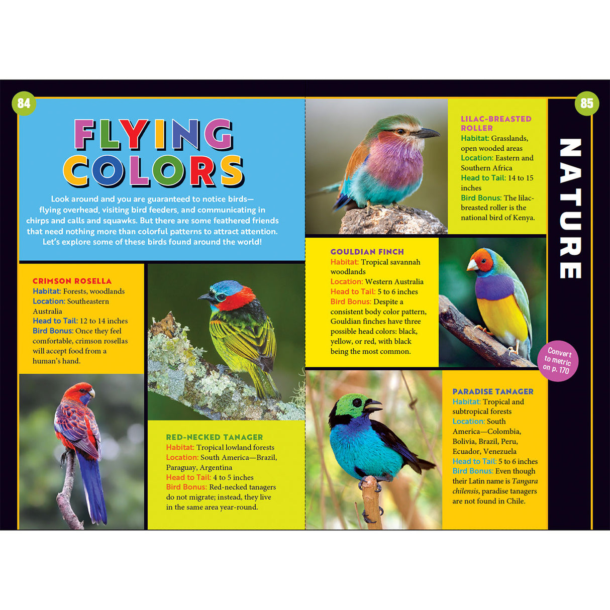 Educational page about birds with colorful illustrations and text on a white background