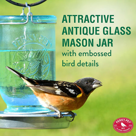 an orange and black bird perched on the mason jar waterer with a green blurred background and the text "Attractive Antique Glass Mason Jar with Embossed bird details"