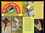 interior spread of the Almanac for Kids featuring images of birds and an article with the title "The Great Night Flight"