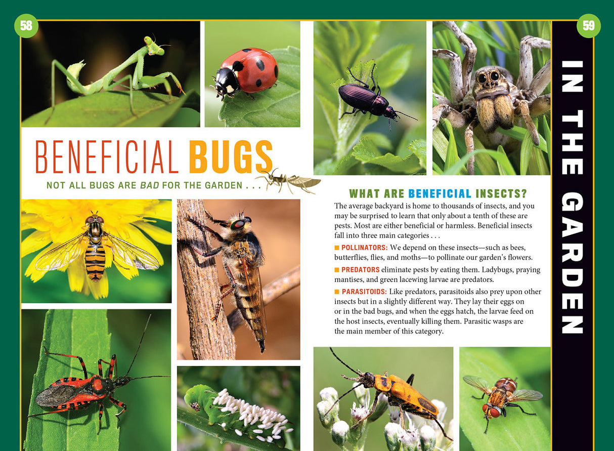 an article titled "Beneficial Bugs" with images of various insects in the gardne