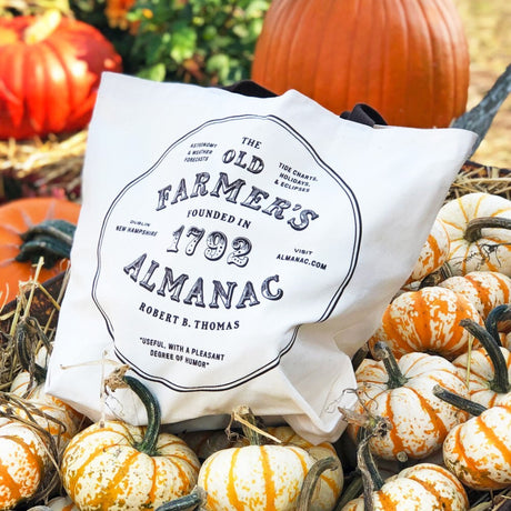 on a pile of colorful pumpkins and gourds sits the canvas tote bag with the "almanac" graphic facing forward