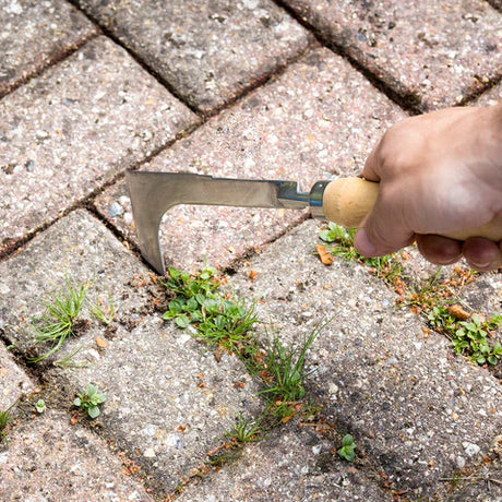 the block paving knife in action - in the hand of a gardener using the knife to scrape weeds that have grown in the middle of paving bricks