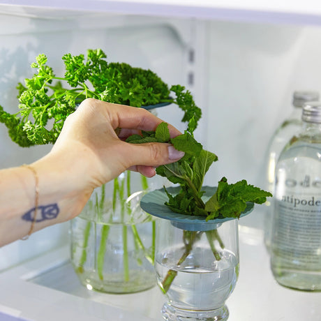 Produce Keepers - Set of 2