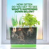 Root Viewer with growing plants in front of a window with text "How often do you get to see what's happening down below?"